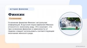 Исследование фамилии Финкин: происхождение, история и значение, а также актуальная информация о