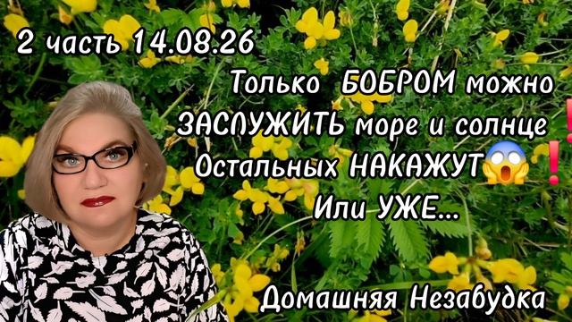 2 часть. Только БОБРОМ можно ЗАСЛУЖИТЬ море и солнце❗️Остальных НАКАЖУТ😱❗️Или УЖЕ...