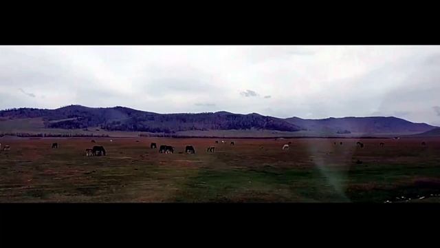 Путешествие Абакан-Вершина Тёи. 2023 г. май.