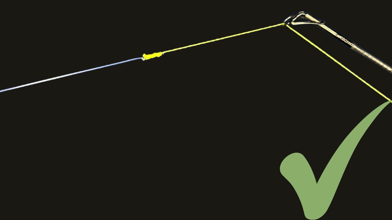 10 Most Powerful Fishing Knots Every Angler Should Know