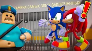 СОНИК И НАКЛЗ ПРОТИВ ТЮРЬМЫ БАРРИ! Смогут ли они сбежать вместе
