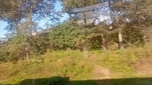 1000065141.mp4дорога дальняя..