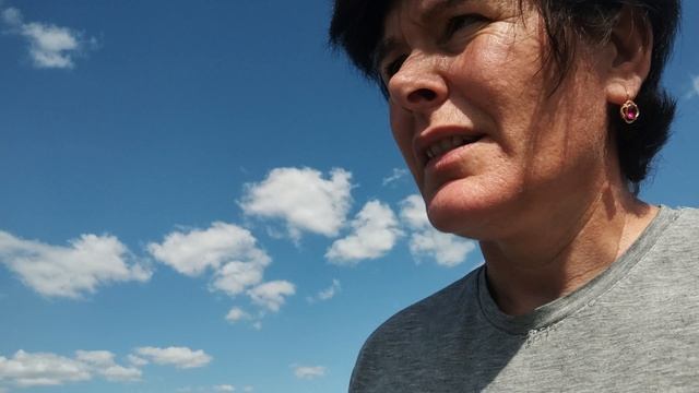 Прибежали коровы ,пришлось бежать к ним