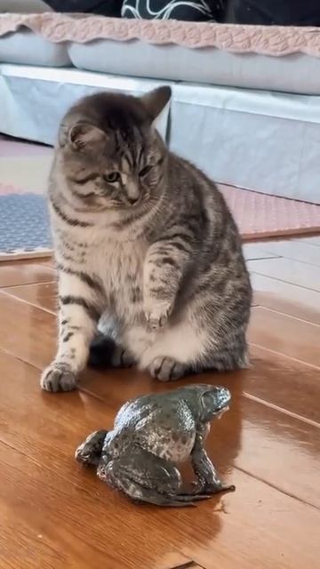 Кто сказал 