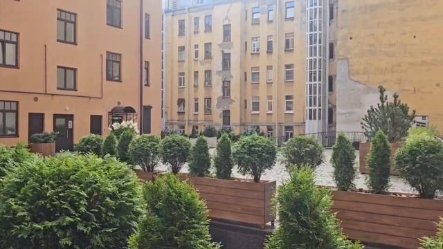 video5474639519078718822
