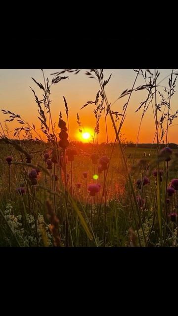 природа