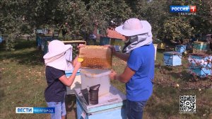 В Белгородской испытательной лаборатории исследуют мед на показатели качества и безопасности