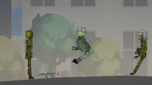 Melon infection 4