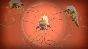 Plague Inc : Evolved , , Часть Вторая ' '