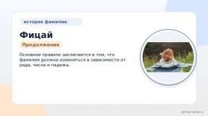 Фамилия Фицай: происхождение, значение и склонение