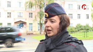 Нарушения на территориях учебных заведений в Вологде