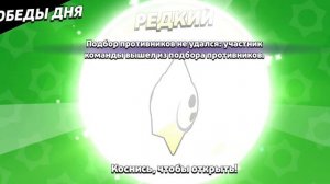BrAwL sTaRs