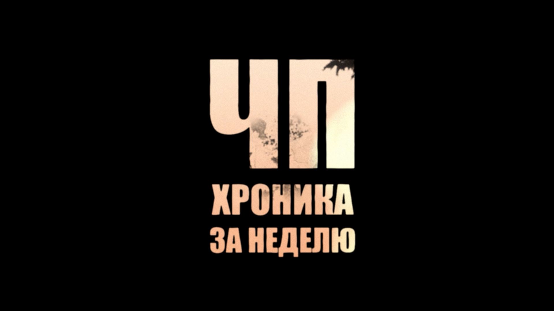 ЧП Хроника за неделю от 15 августа 2026 года