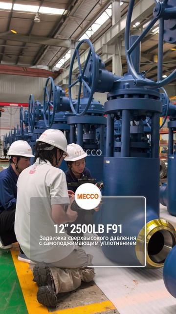 ~C95800 CLASS150 NPS12 Самодействующий регулирующи