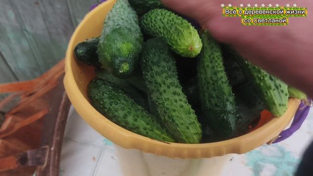 Протопила печь ,собрали комод .