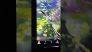 А ведь из-за тупых видео было 54 подписчика...