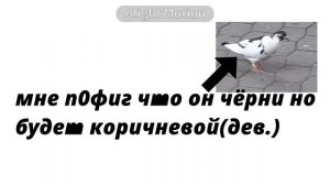 ||ну красиво вроде||21:44||