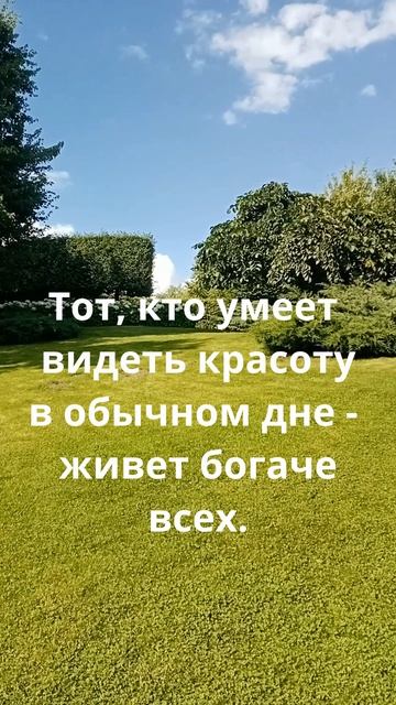 Видеть красоту в каждом дне