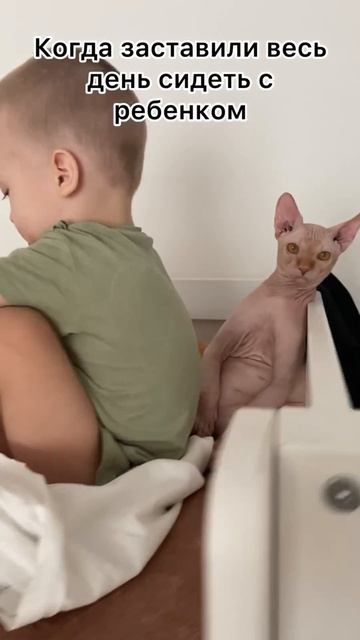 КотоНянь