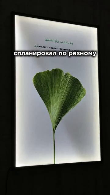 Слушать 23