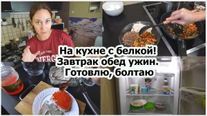 На кухне с белкой! Завтрак обед ужин. Готовлю, болтаю