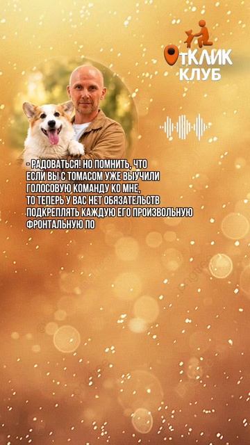 VID_20260814_194122_412