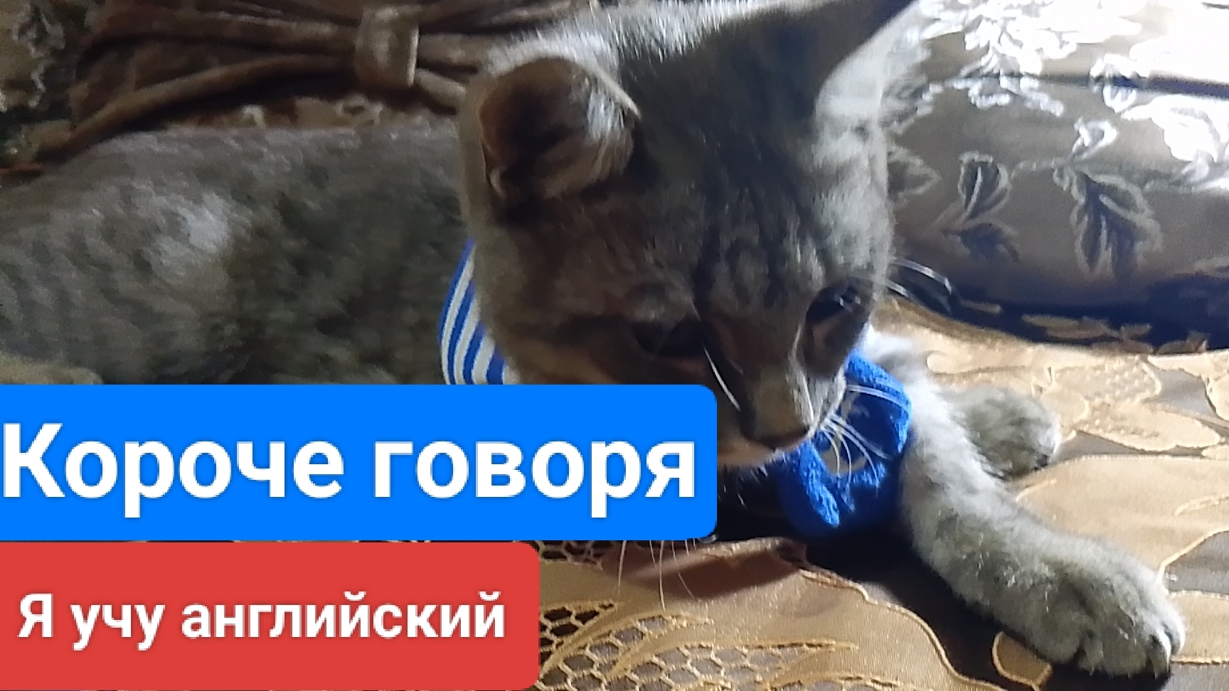 КОРОЧЕ ГОВОРЯ Я УЧУ АНГЛИЙСКИЙ