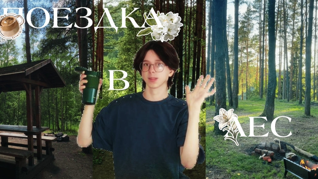 влоги