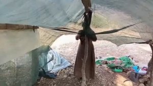 41ч.Создание тайного убежища бедной матерью для спасения больных детей