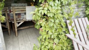 В Москву и сразу обратно. Гас отказался снимать швы. Холодновато