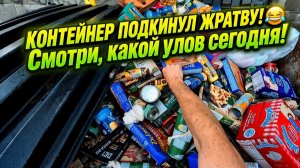 У них отключили электричество , и они ВСЕ ВЫКИНУЛИ / Поиски в мусорных контейнерах