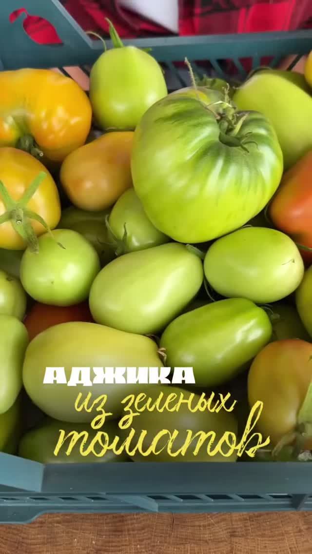Аджика из зеленых помидоров