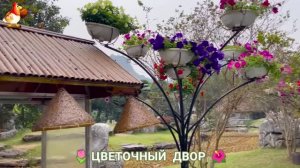 Цветы на участке и во дворе как красиво посадить фото идеи для вдохновения (307)