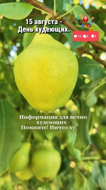 Худеете? Тогда это видео для вас...
