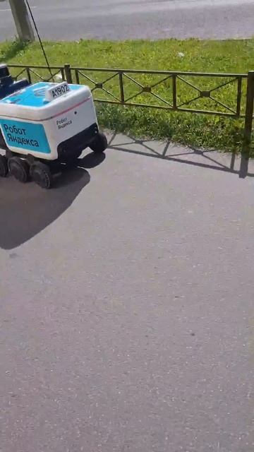 Питерский щит