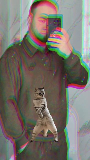 2026-08-13