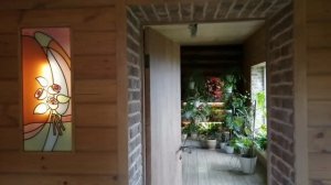 Обзор Хойечек! Какие укоренились, а какие нет! 🌿
