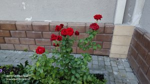 ДОМОСЕДА В ВЕЧНЫЙ БЛОК‼️ ГОТОВ ПОМОГАТЬ В ЭТОМ ДЕЛЕ⚡