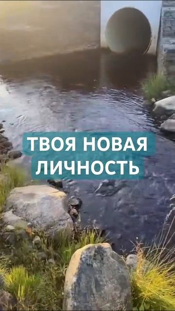ТВОЯ НОВАЯ ЛИЧНОСТЬ
