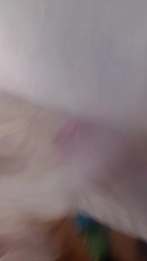 маша