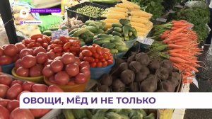 Во Владивостоке появятся 10 новых торговых фермерских площадок