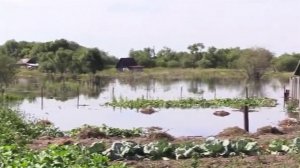 Ночь на 14 августа в Москве стала самой прохладной с начала лета.