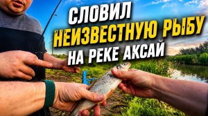 Рыбалка на реке Аксай
