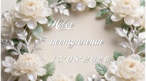 Новое поступление 15-08-2026