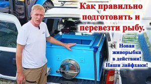 Как правильно подготовить и перевезти рыбу. Наша рыбоперевозка и рыбоводный маршрут в Семилуках.