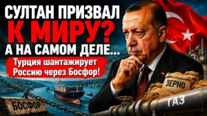 Зачем Эрдогану мораторий? Хитрый план Анкары, о котором молчат в новостях