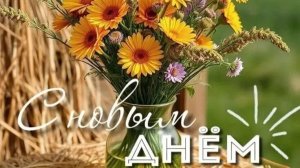 Утро с красивыми пожеланиями — короткое видео для близких ☀️