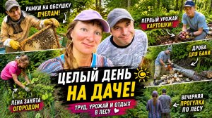 Целый день на даче… Картошка, пчёлы, дрова и вечерний лес