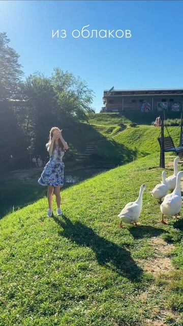 по-моему гуси меня не Лов🫣 А кто нас Лов💕 Приходите на наши концерты и снимайте под наши треки 🫶🎢🌸