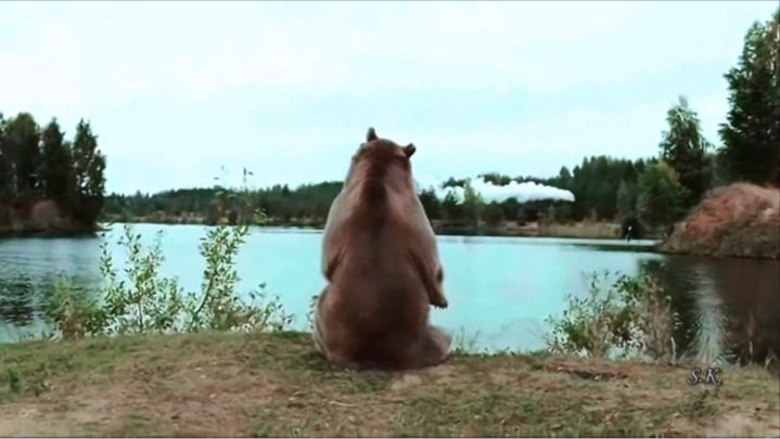 Хару - Мамбуру 🐻🚂🎸